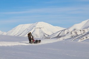 Dogsledding in Bolterdalen Hurtigruten Svalbard 162023 1080 Photo Eveline Lunde