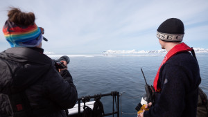 Walrus safari- Hurtigruten Svalbard - Photo: Andre Van Ingelgem