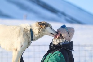 Dogsledding in Bolterdalen Hurtigruten Svalbard 162033 1080 Photo Eveline Lunde