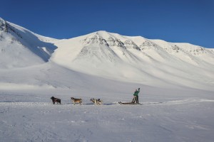 Dogsledding in Bolterdalen Hurtigruten Svalbard 162010 1080 Photo Eveline Lunde