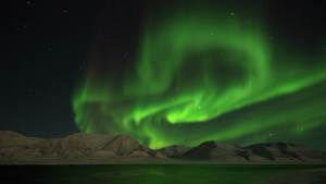 Dinner Cruise Under Northern Lights MS Bard Photo Halvor Mykleby