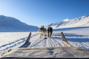 Dogsledding in Bolterdalen Hurtigruten Svalbard 162049 1080 Photo Eveline Lunde