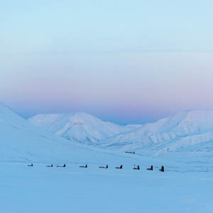 Light-winter Dog-sledding Arctic-landscape Agurtxane-Concellon-Thumbnail-1920x1920 02