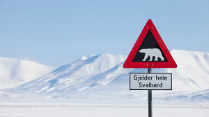 Fakta Longyearbyen nature Chicco Mattos