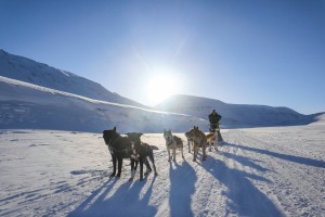 Juvahytta - 3 dager ekspedisjon på Svalbard med hundespann - Green Dog