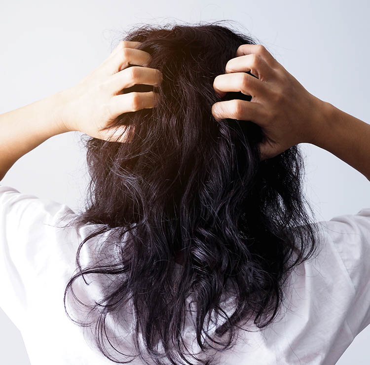 หงุดหงิดกับผมชี้ฟู - เปรมปรีดิ์