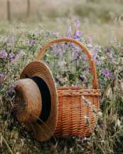 心理治療,是一個「篩洗」的歷程