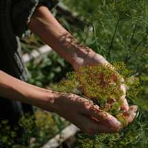心中有你,就會知道路怎麼走