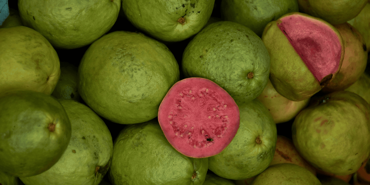 15 high-protein fruits to add to your healthy diet