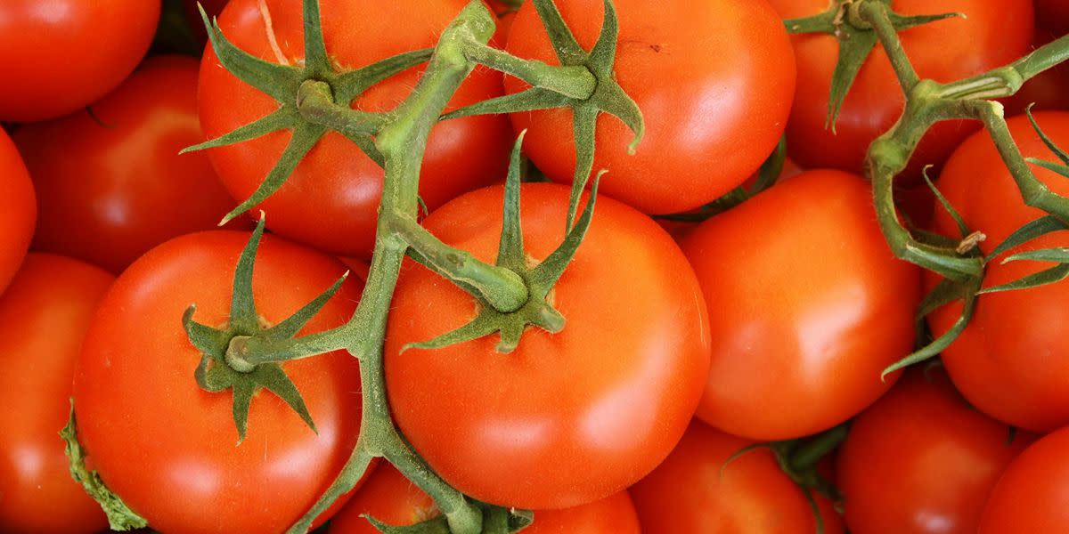 med-food-fresh-seasonal.jpg