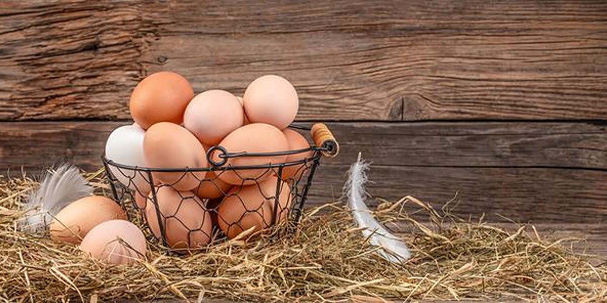 Egg-based-high-protein-breakfasts.jpg