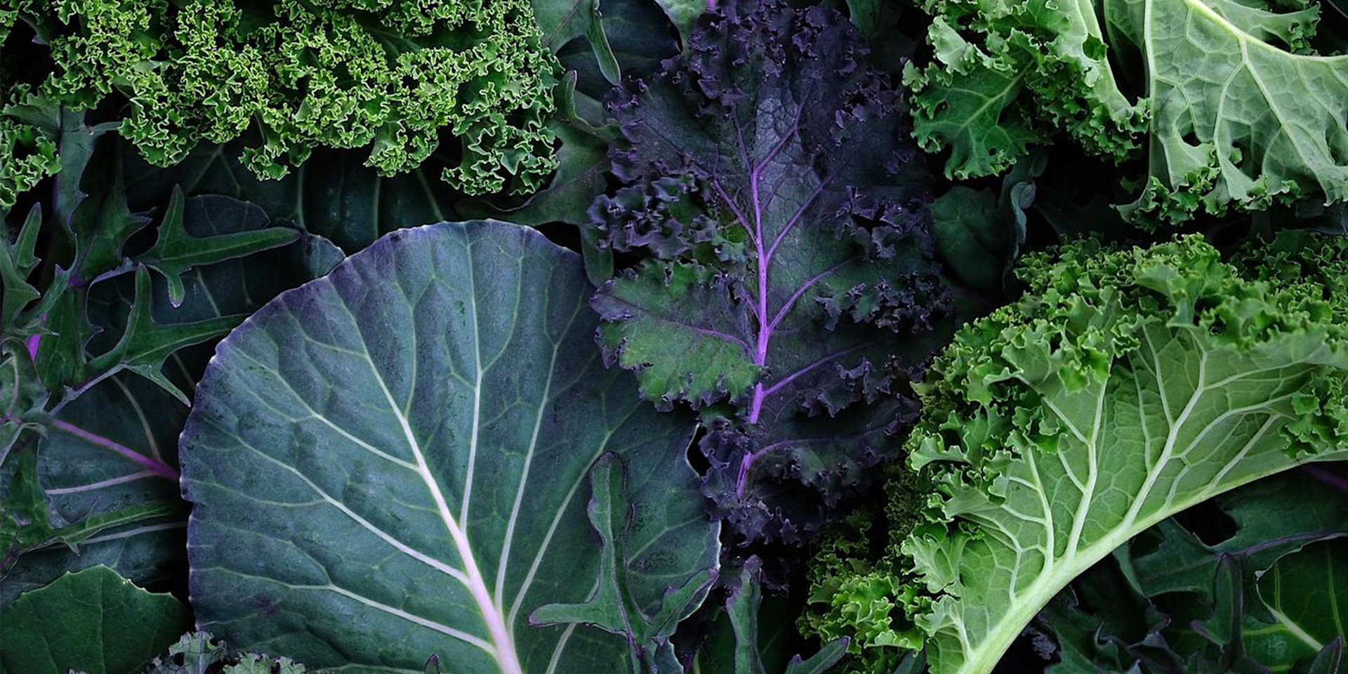 Low-sugar foods: A comprehensive guide to healthier eating