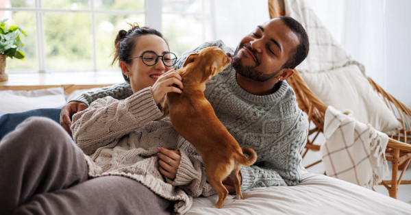 Design a Pet-Friendly Home With These 4 Tips