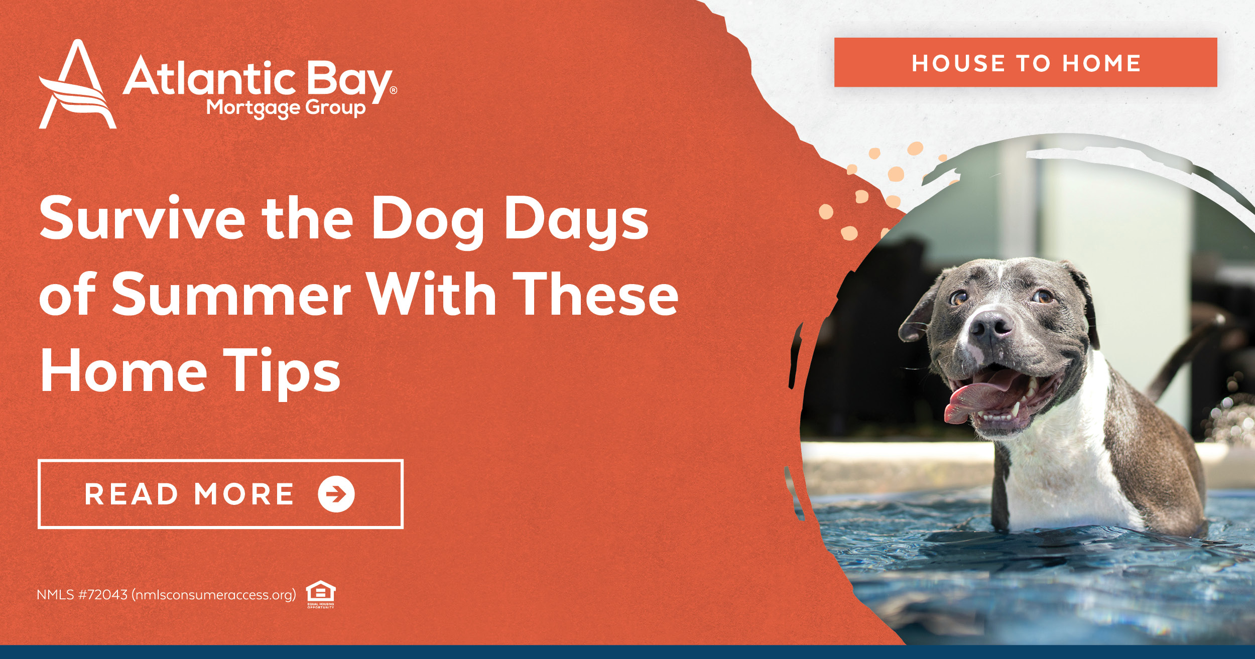 Survive the Dog Days of Summer With These Home Tips