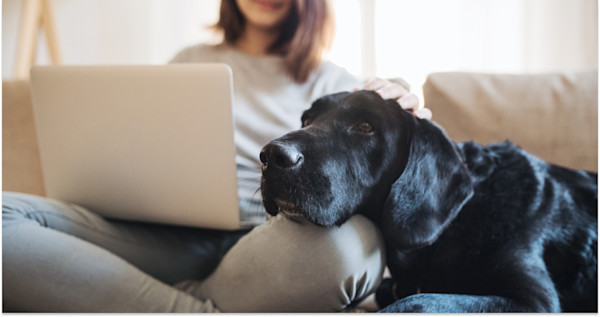 7 Tips To Make the Mortgage Process Less Stressful