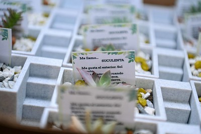 IMAGEN Encuesta de descarbonizacion