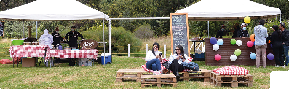 Plan de acompañantes, picnic, evento al aire libre