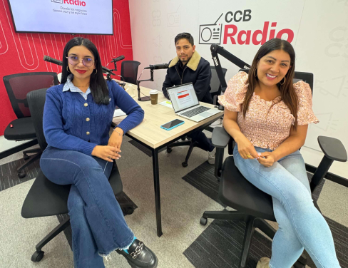 Diversion-con-proposito-488x376