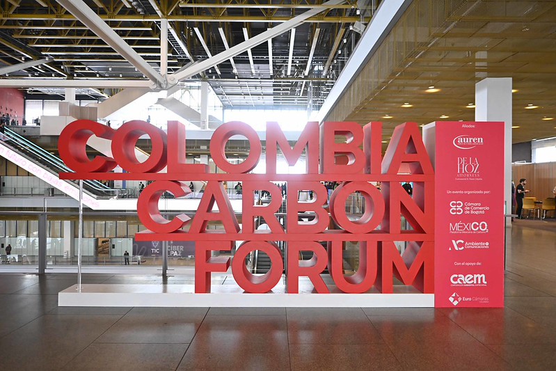 descarbonizacion 2025