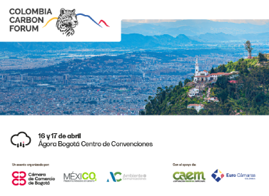 Banner Web-Carbon-375x275