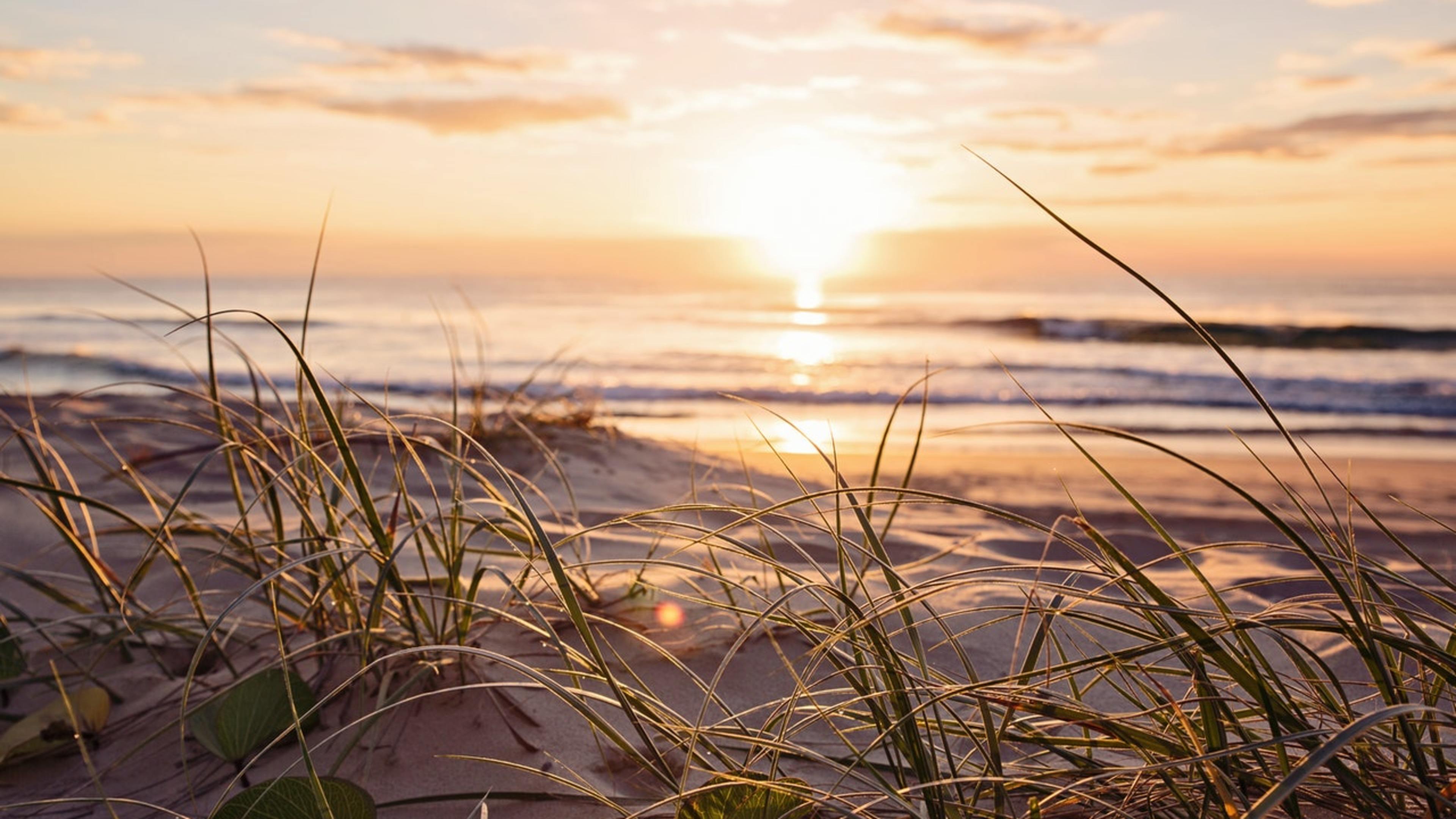 Photo by Nathan Cowley from Pexels