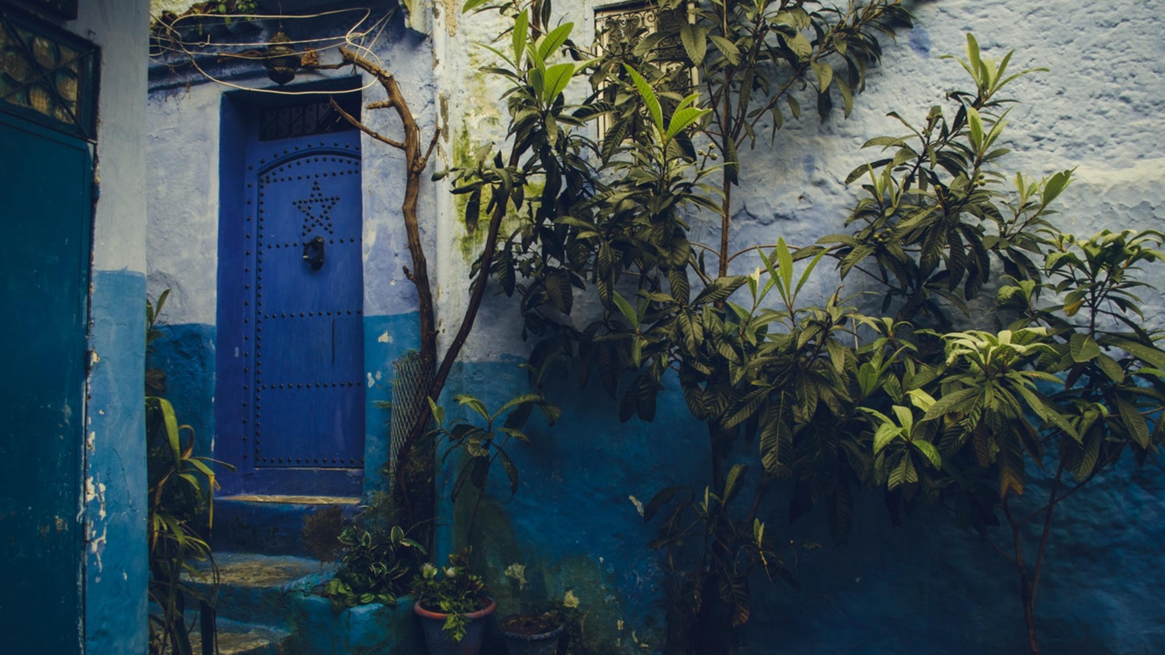 Photo by Nicolas Postiglioni from Pexels