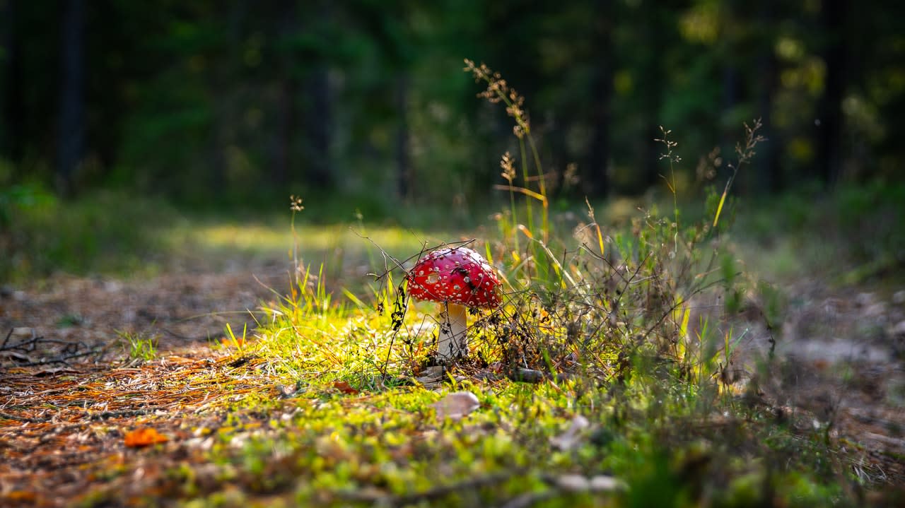 Photo by Egor Kamelev from Pexels