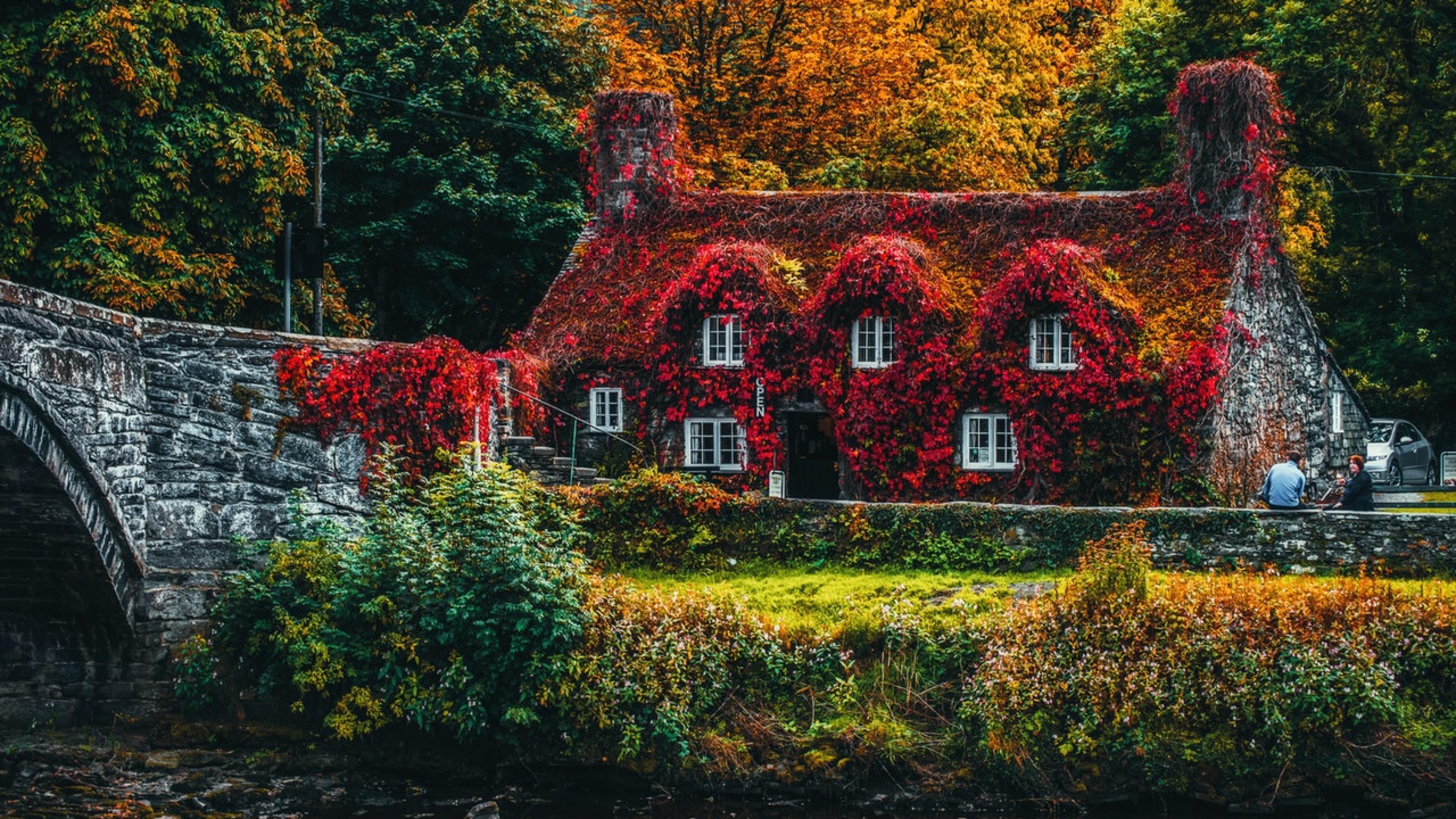 Photo by Lisa from Pexels