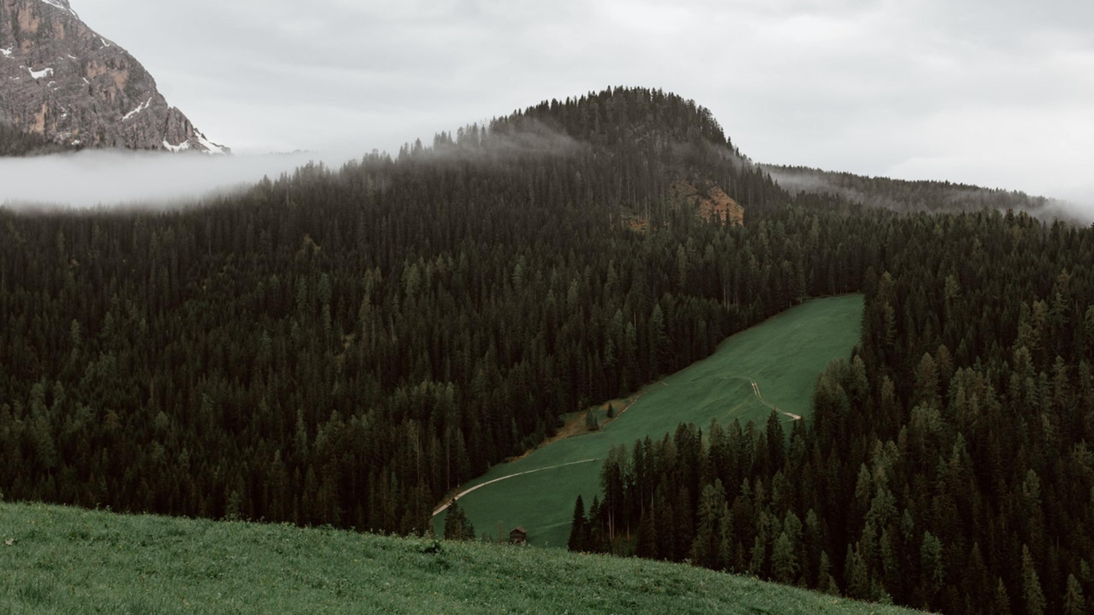 Photo by eberhard grossgasteiger from Pexels
