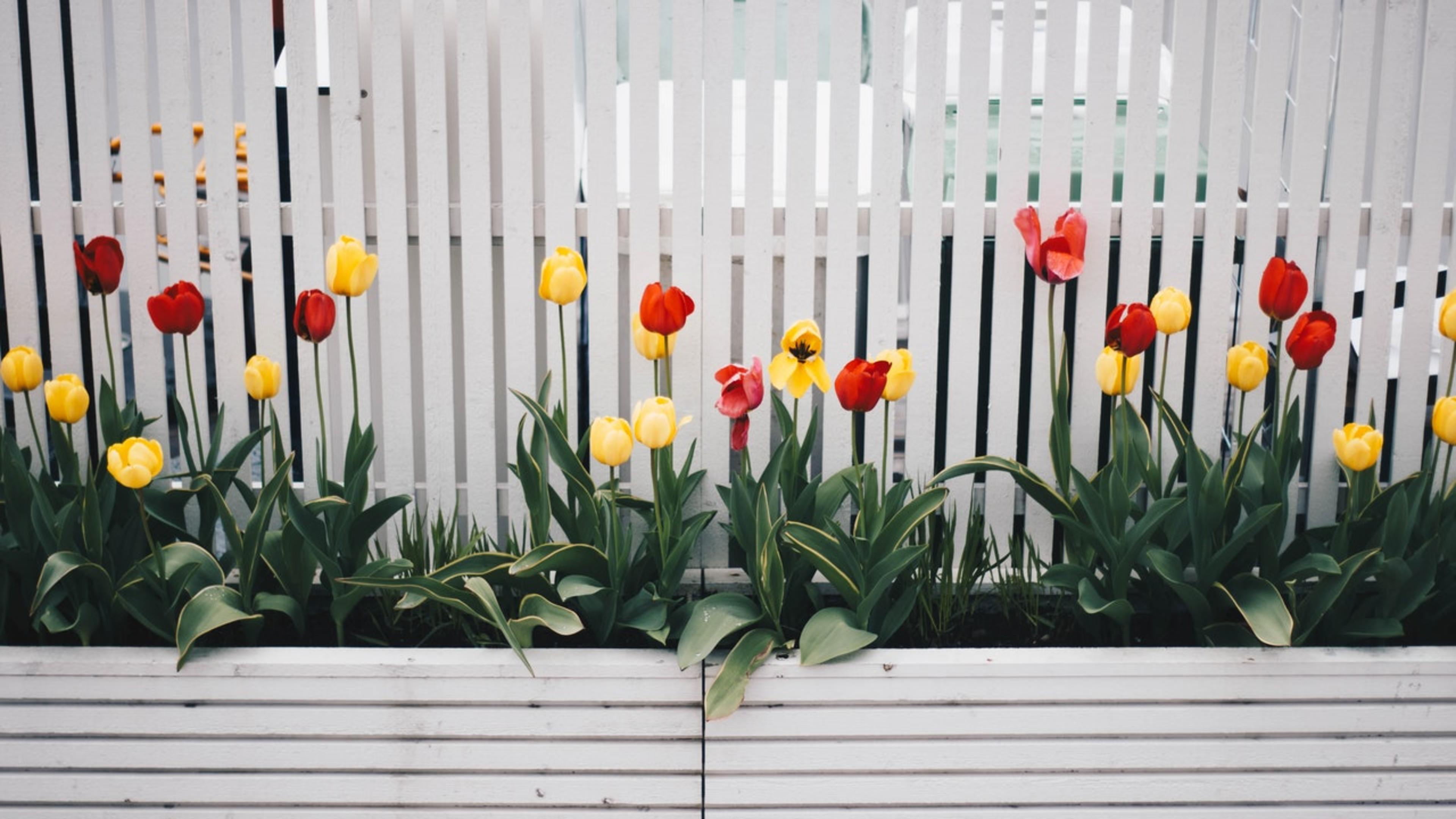 Photo by Kristina Paukshtite from Pexels