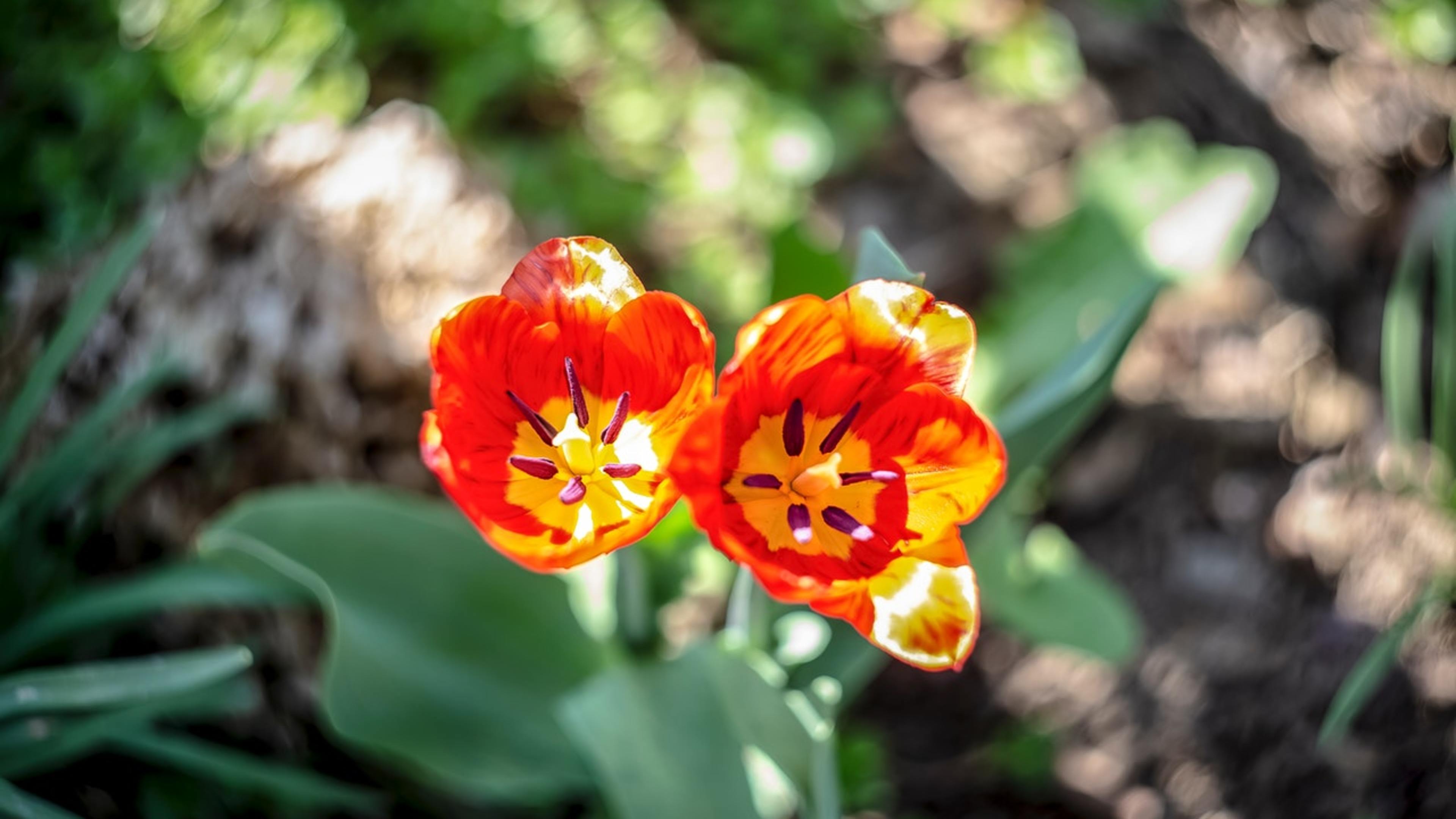Photo by Markus Spiske from Pexels