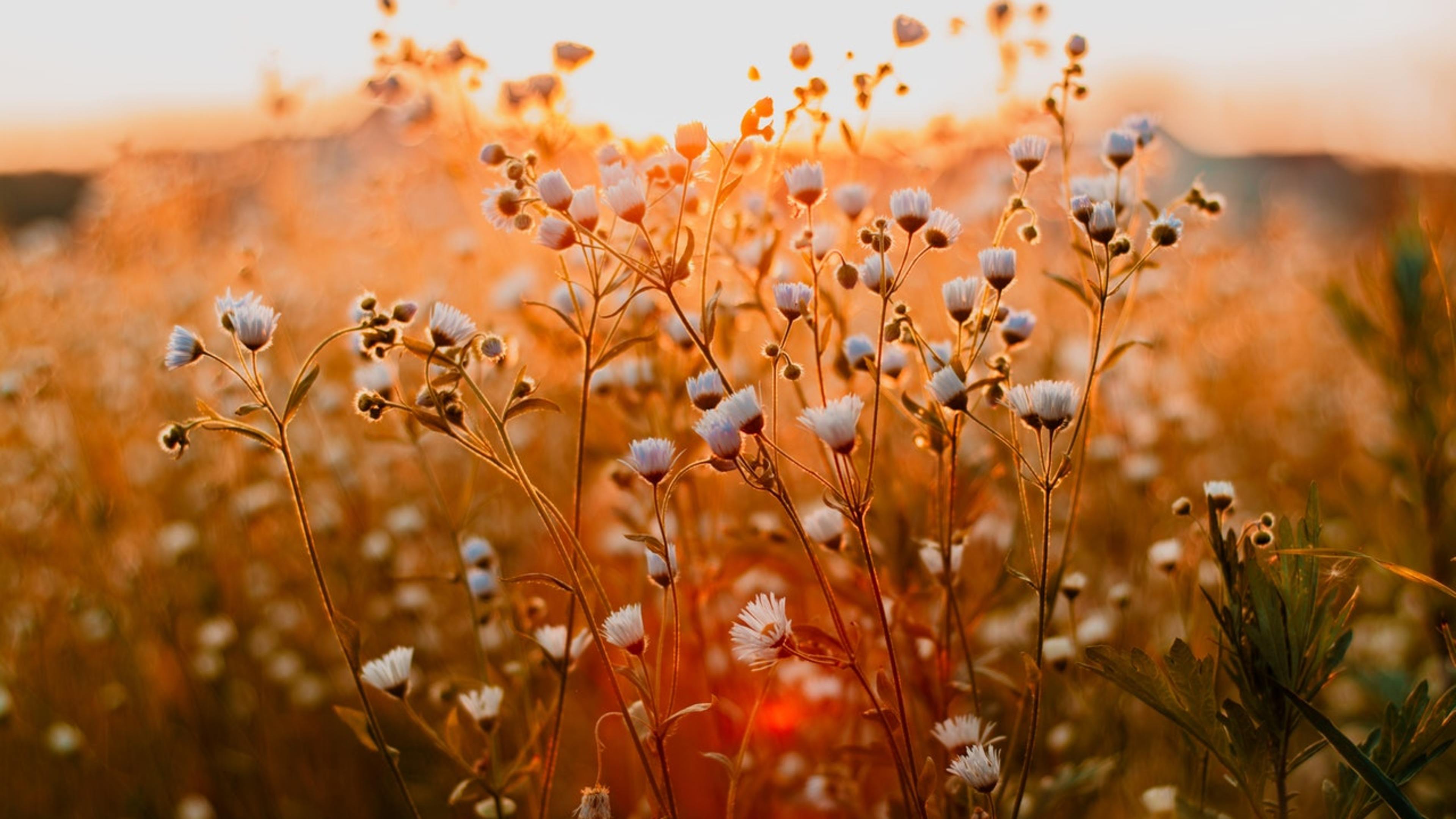 Photo by Irina Iriser from Pexels