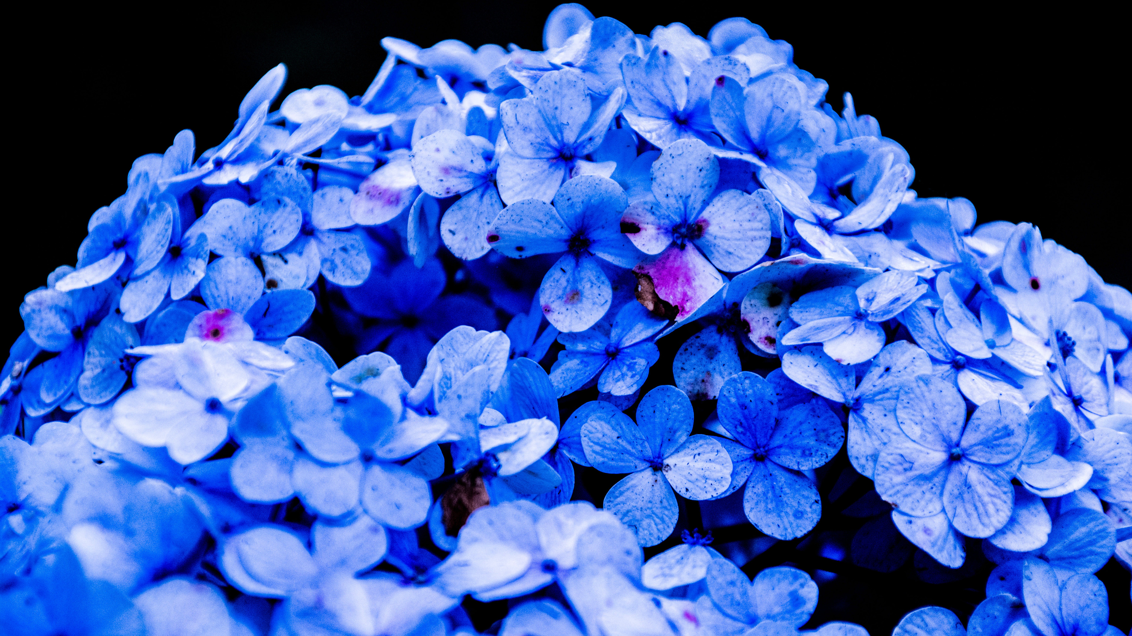 Photo by Azzam Faruqi from Pexels