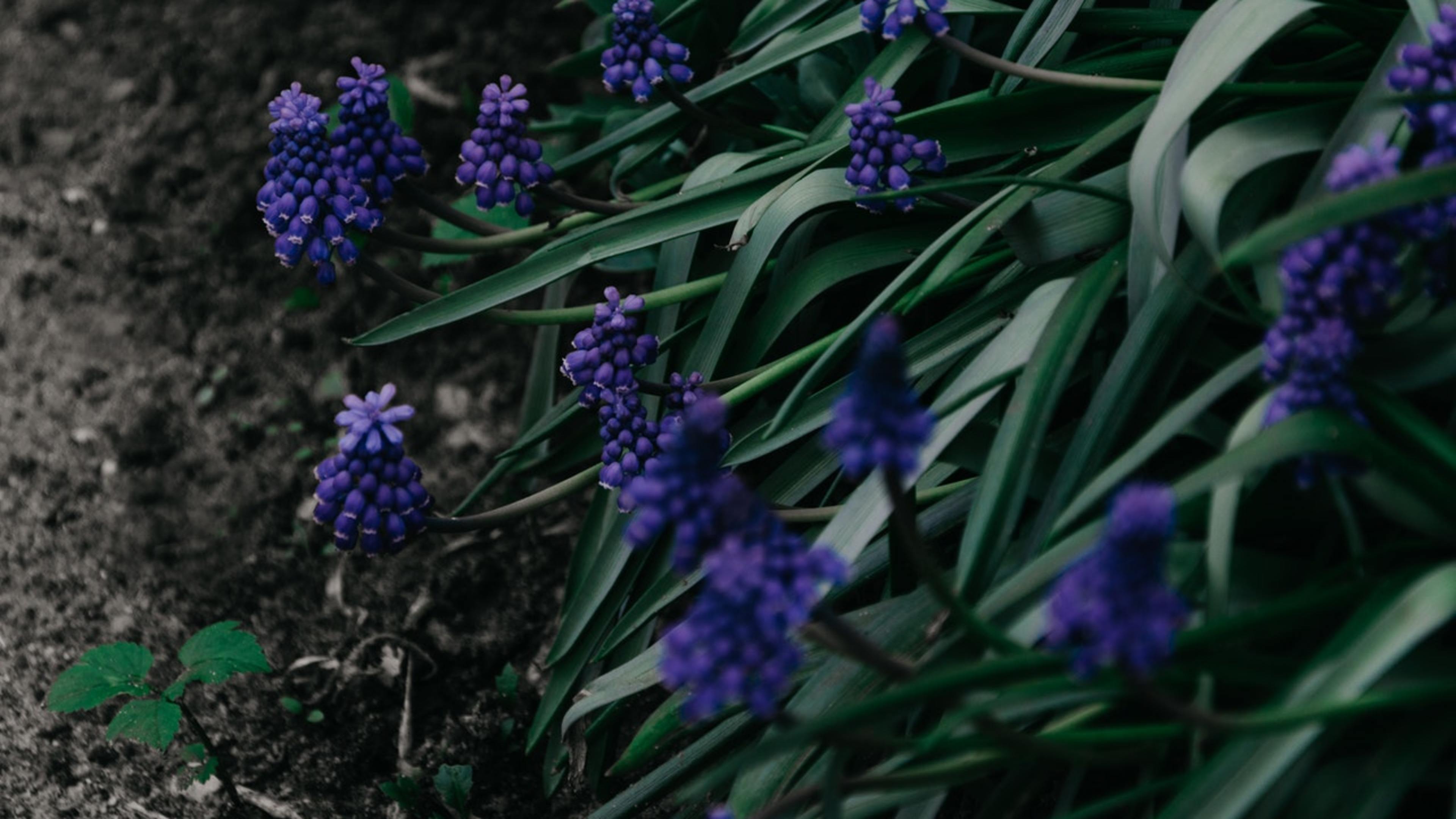 Photo by Irina Iriser from Pexels