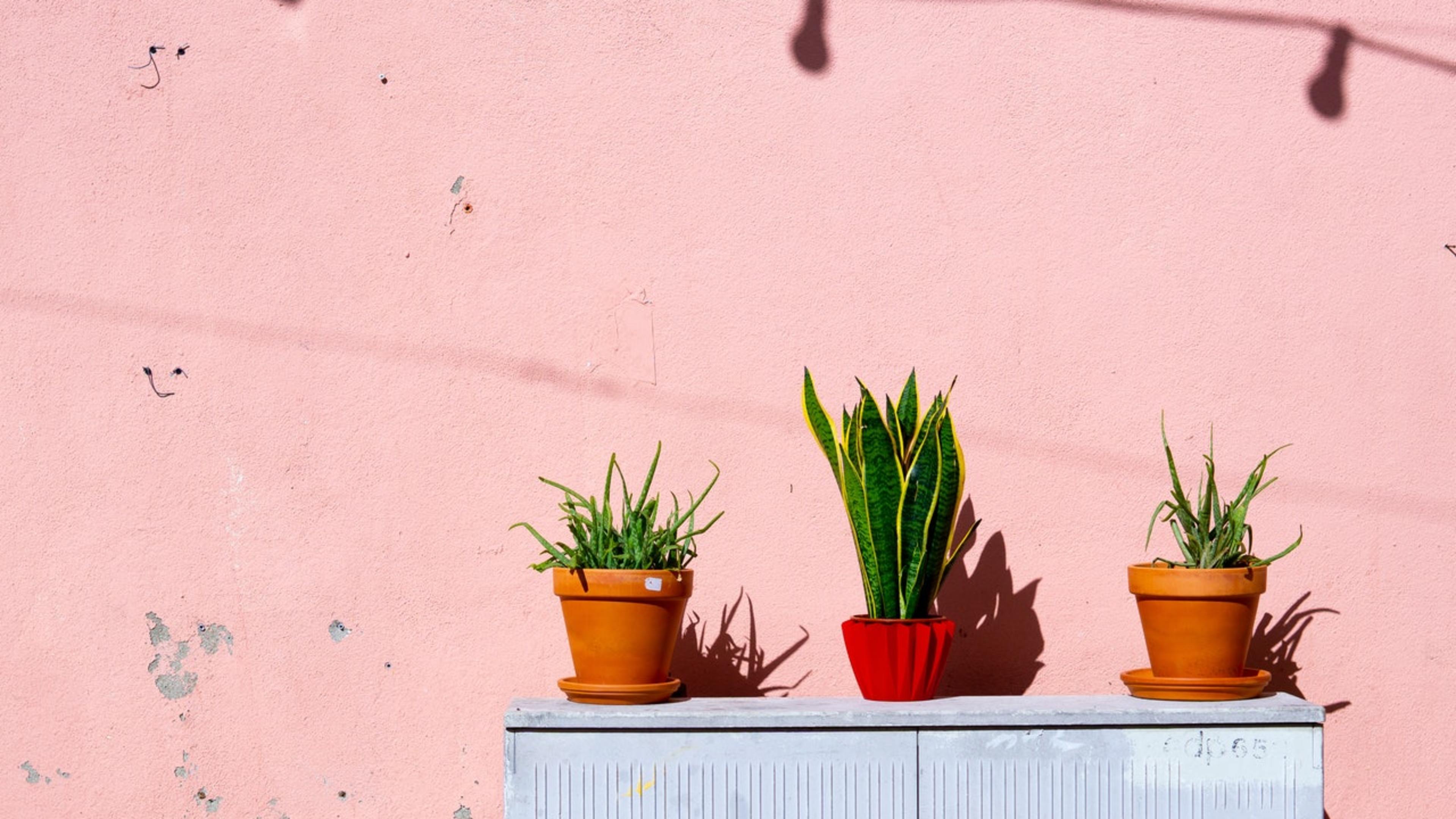 Photo by Elle Hughes from Pexels