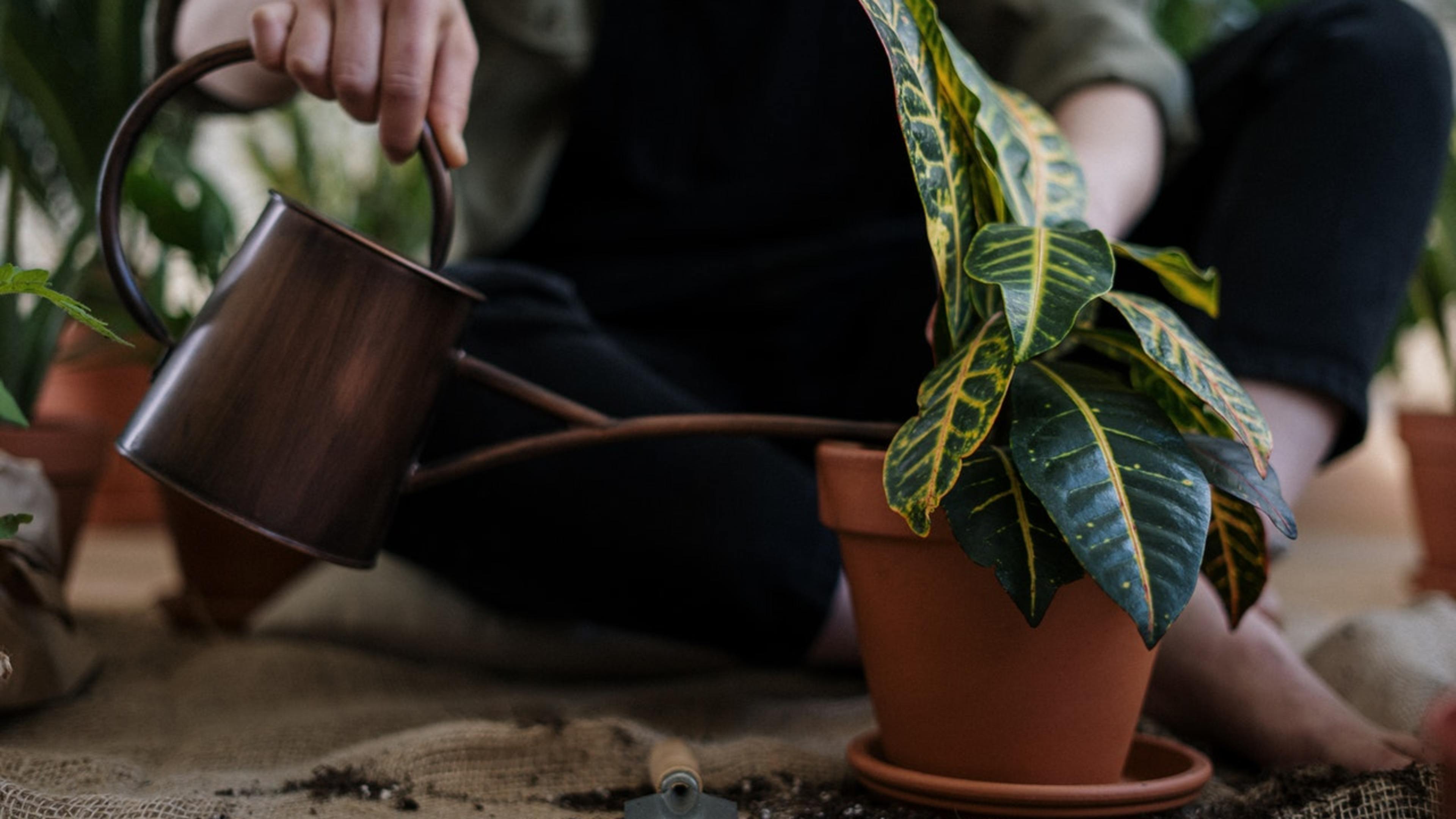 Photo by cottonbro from Pexels