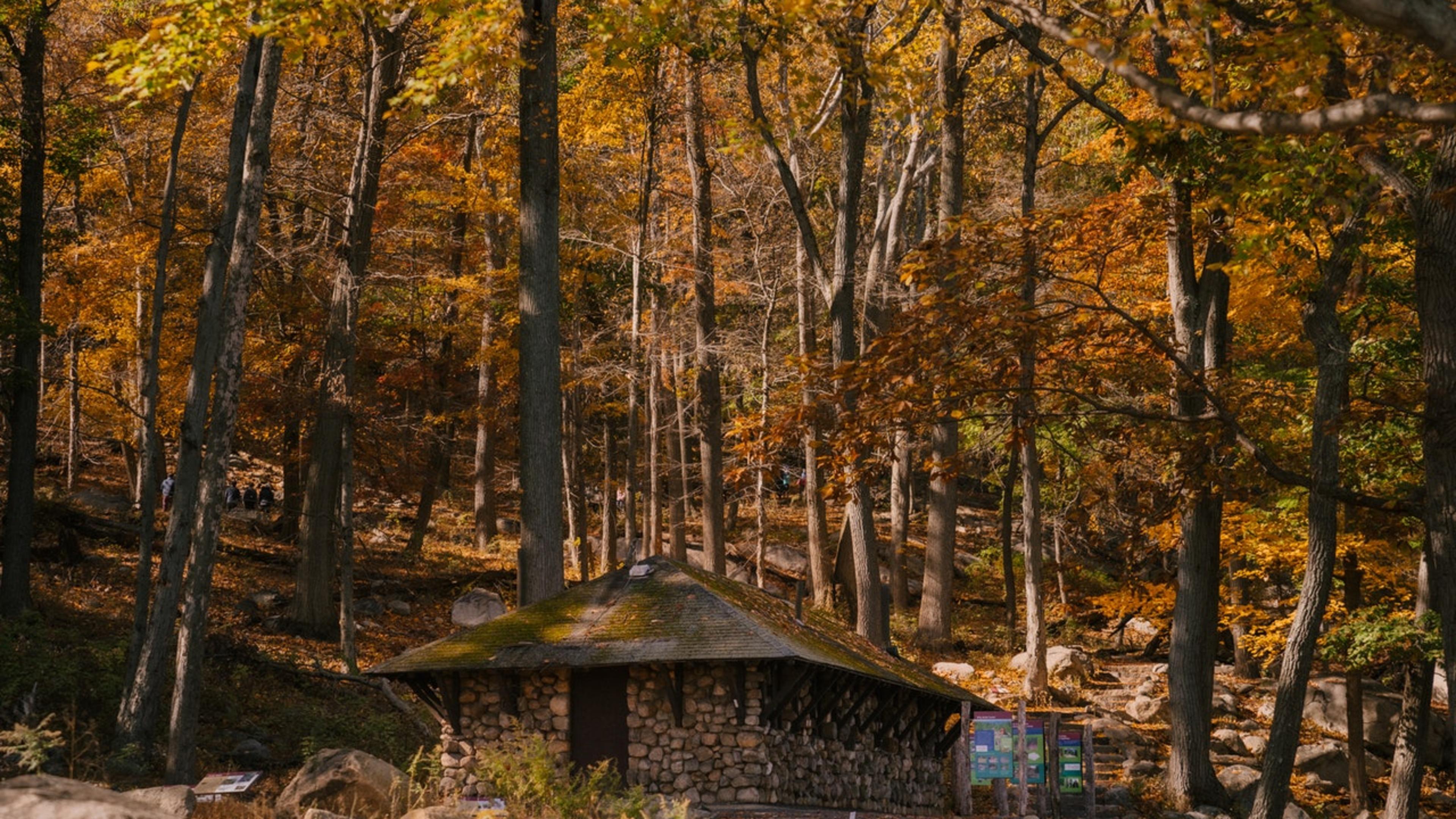 Photo by Marta Wave from Pexels