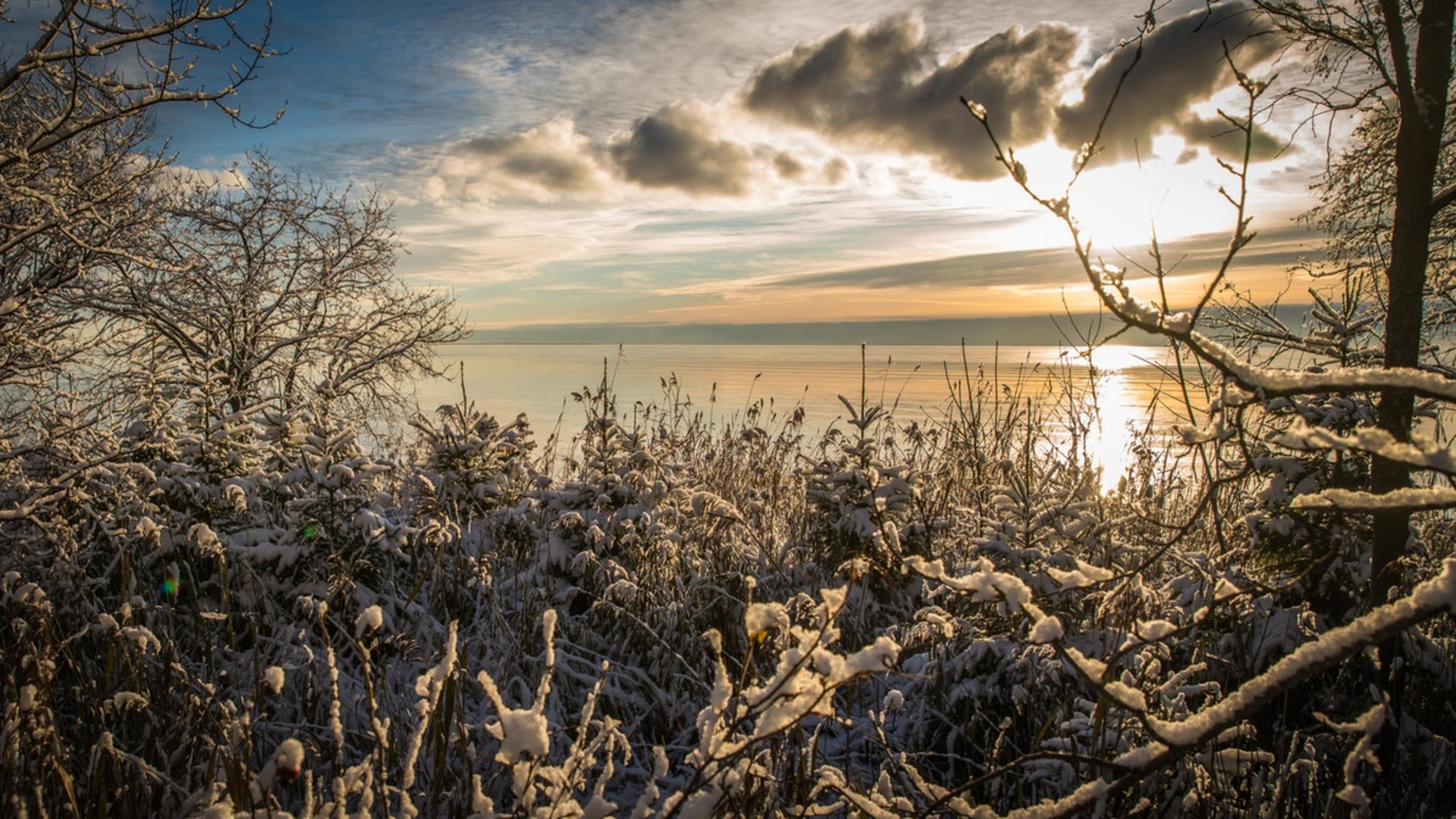 Photo by Egor Kamelev from Pexels