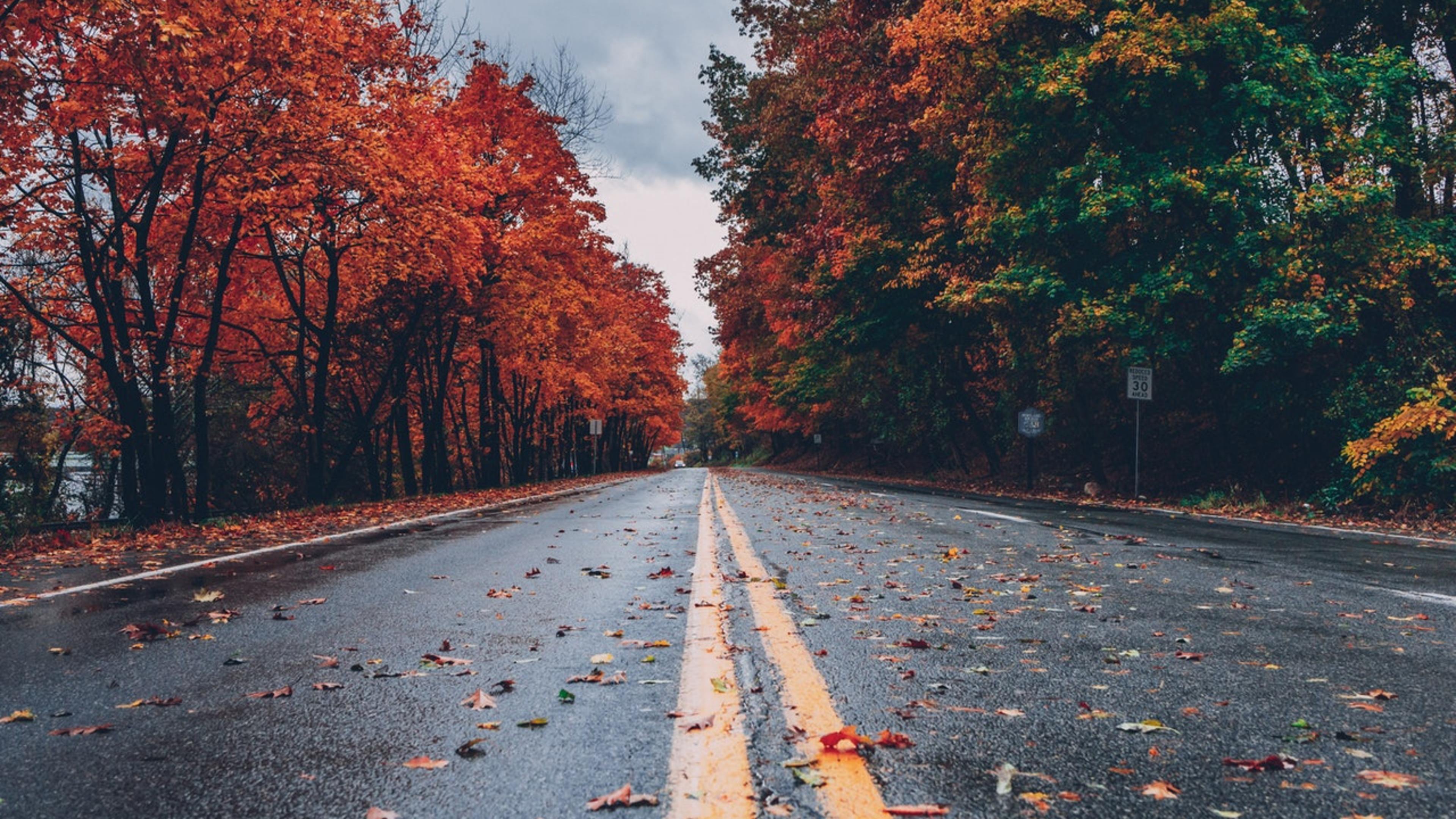 Photo by Craig Adderley from Pexels