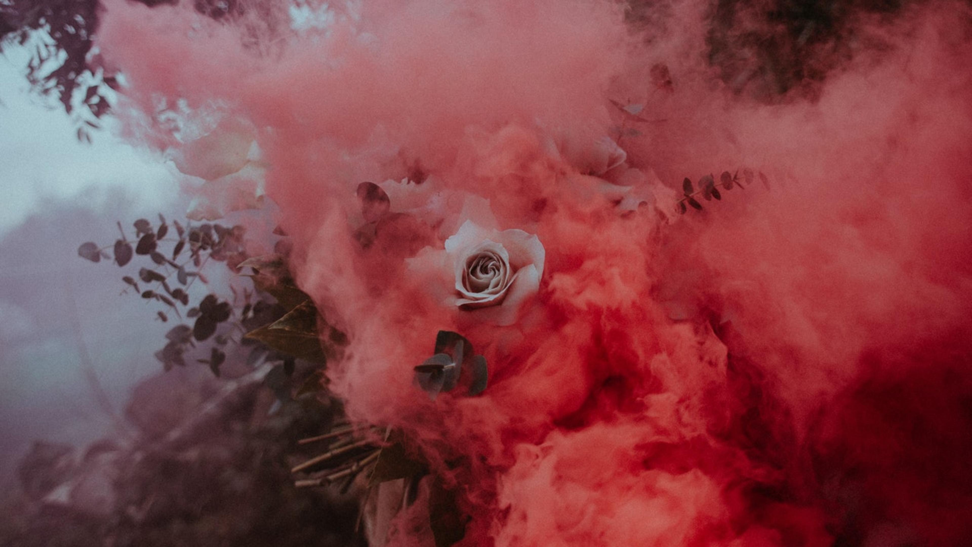 Photo by Flora Westbrook from Pexels