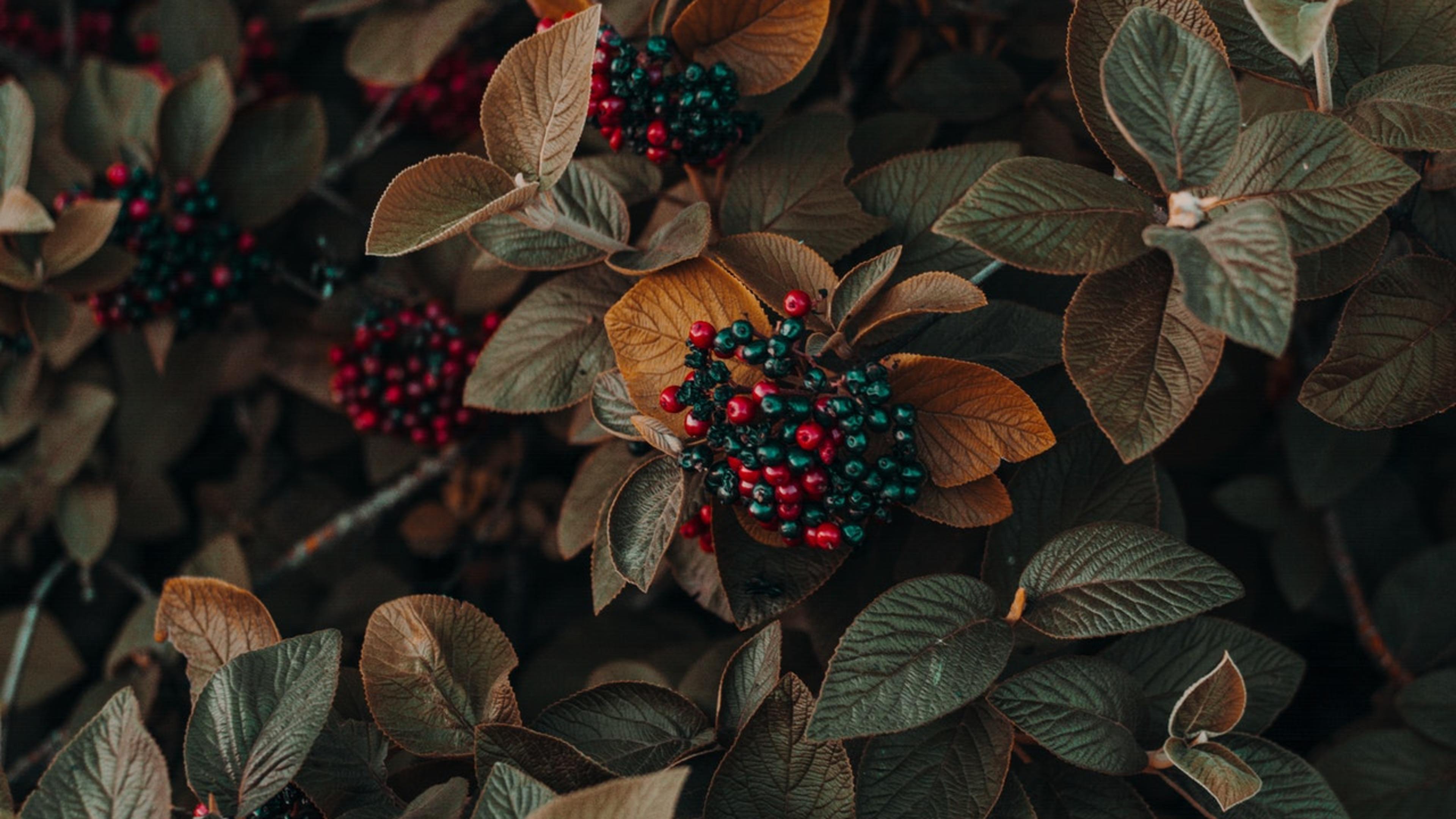 Photo by Irina Iriser from Pexels
