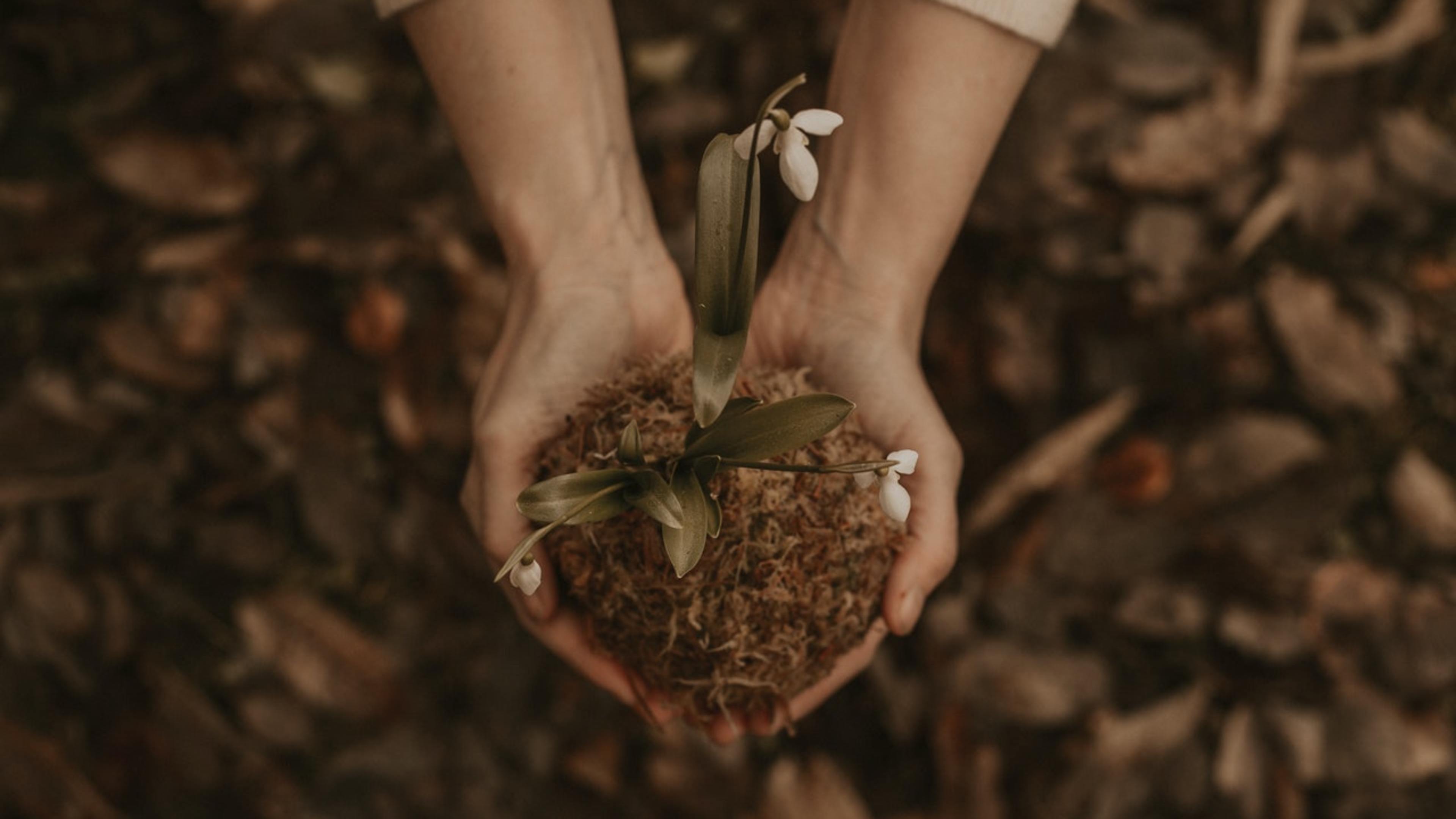 Photo by Flora Westbrook from Pexels