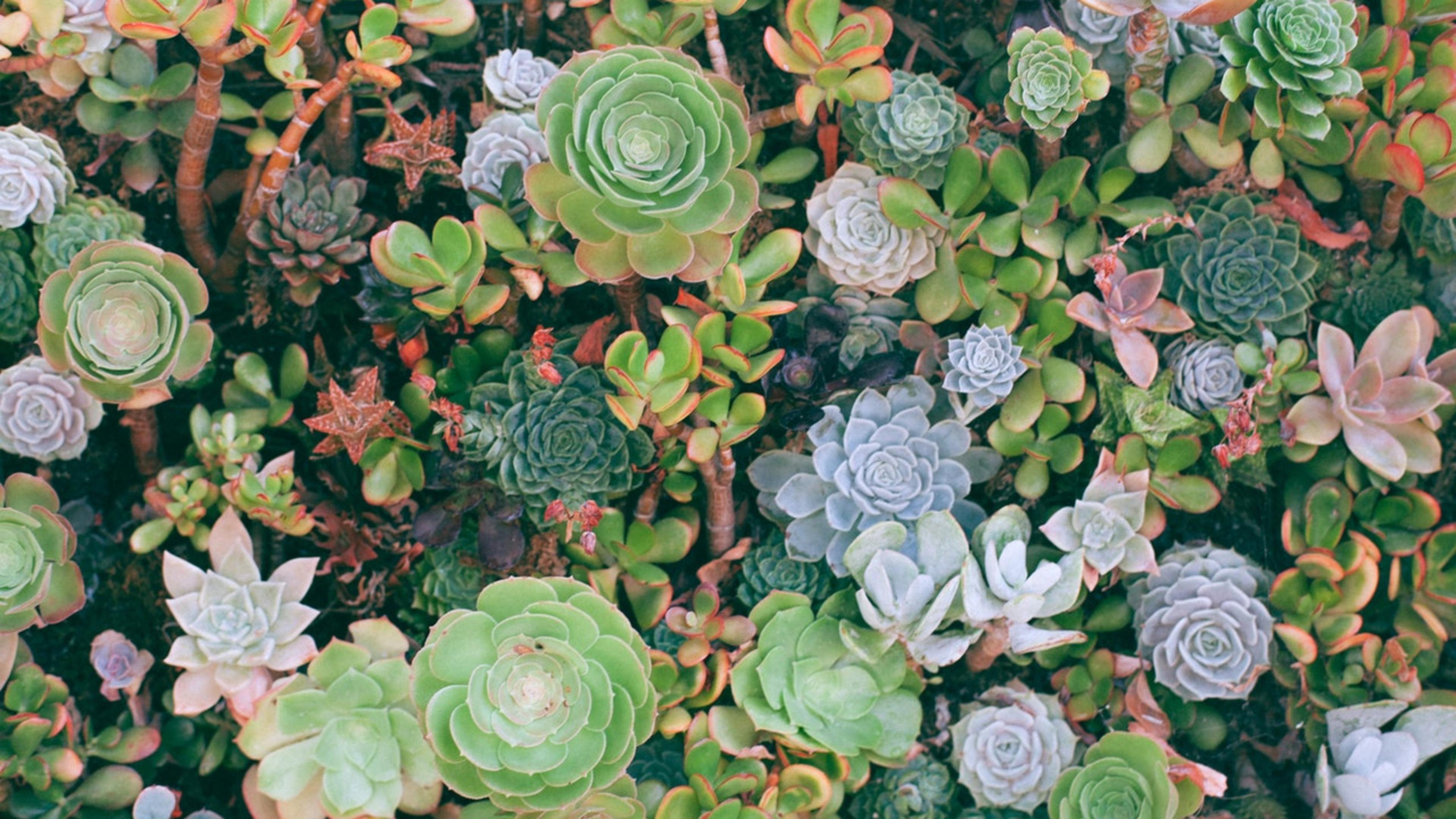 Photo by Maria Orlova from Pexels