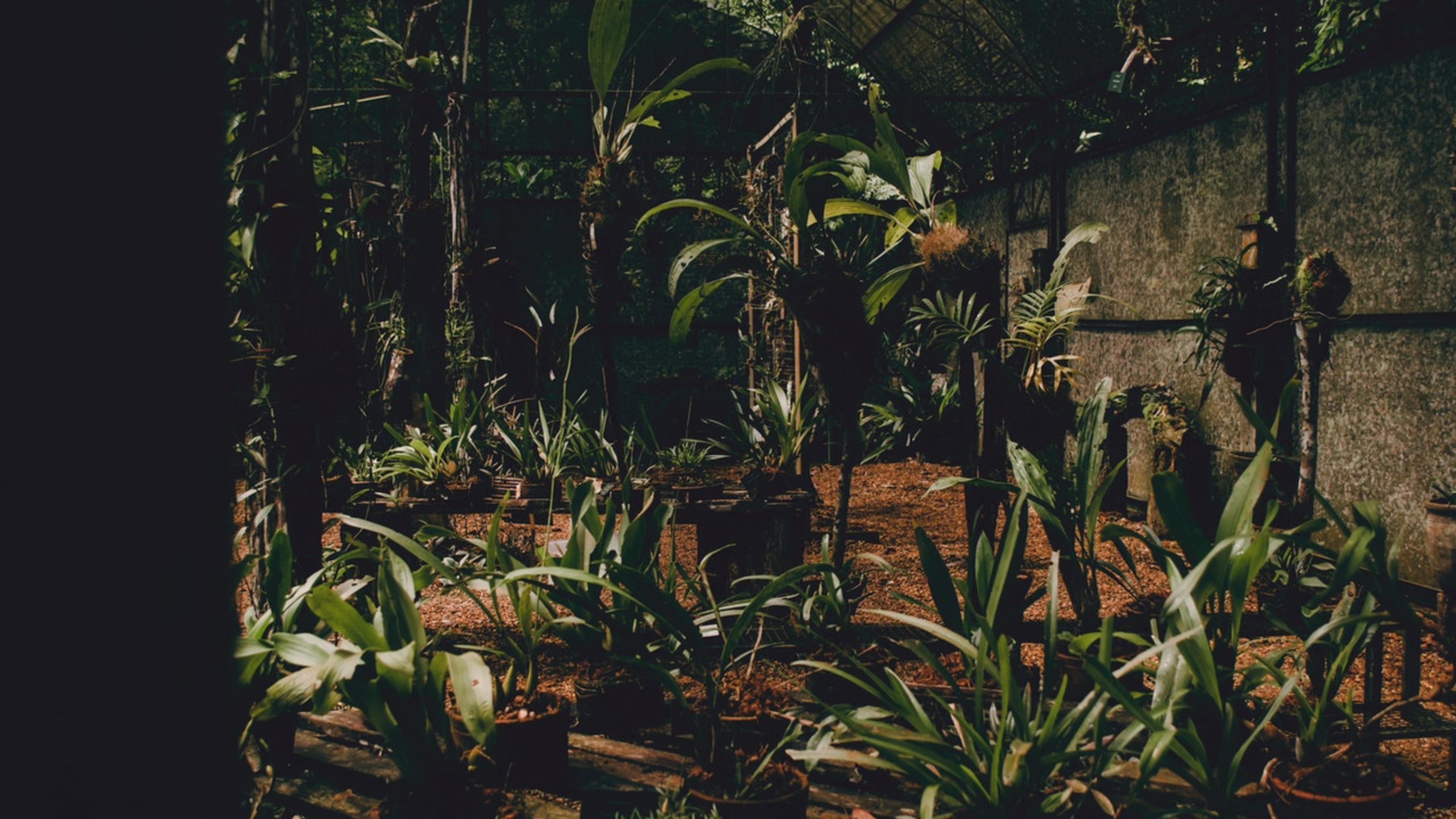 Photo by Aline Lira from Pexels