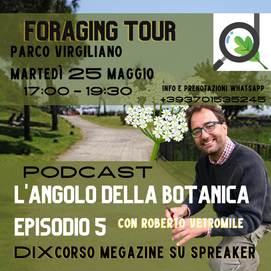 L'Angolo della Botanica e Virgiliano