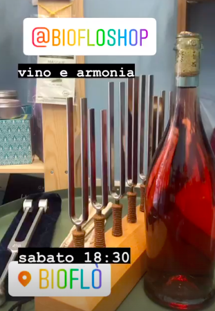 Vino e Armonia