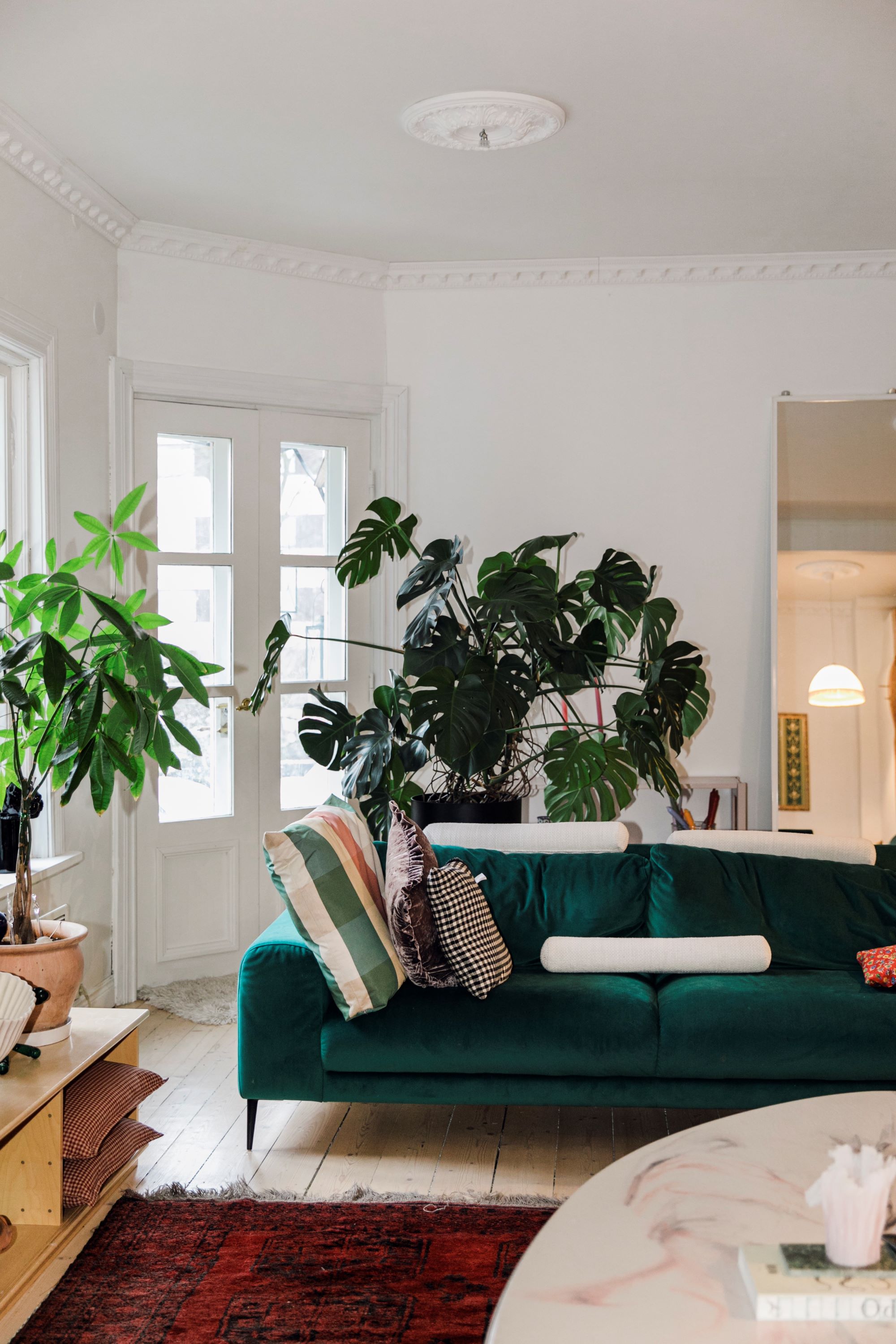 Peikonlehti sai paraatipaikan olohuoneen ikkunoiden edestä. Muuten tila elää vielä tetristä. ”Olemme asuneet täällä vasta kolmisen kuukautta, joten katsomme rauhassa, miten huonekalut asettuvat.” Sohva on Pohjanmaan Joy.