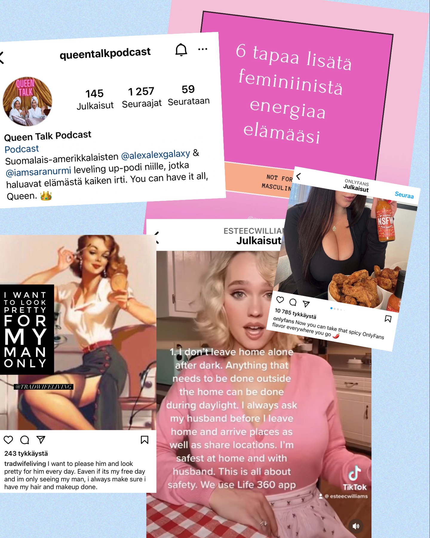 Misogyniapoliisi Virpi Salmi