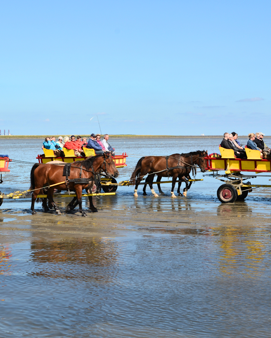 Cuxhaven, Wattwagenfahrt