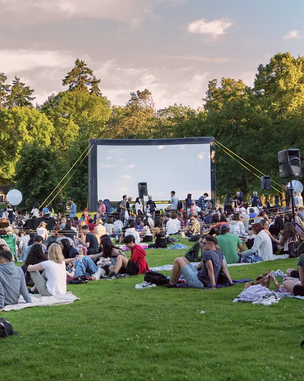 crows gathered on the lawn watching media on the projector